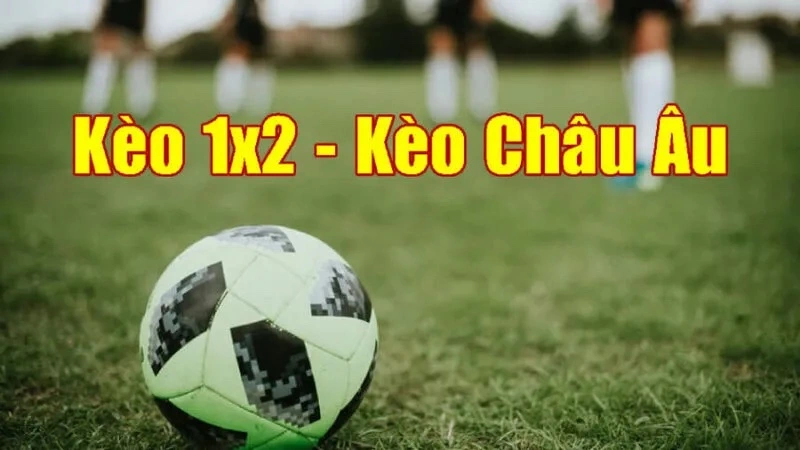 Kèo Châu Âu là gì và cách chơi đặt cược kèo hiệu quả 2 Tập trung đặt cược vào các giải đấu chuyên nghiệp và lớn